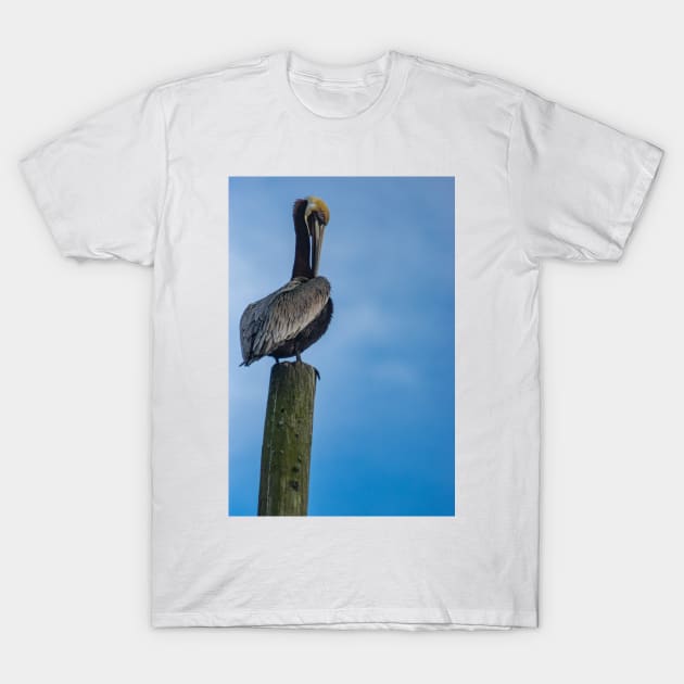 Pelican T-Shirt by KensLensDesigns